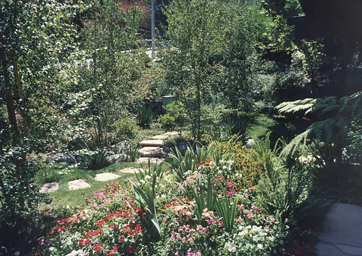 A garden with many different flowers and trees.