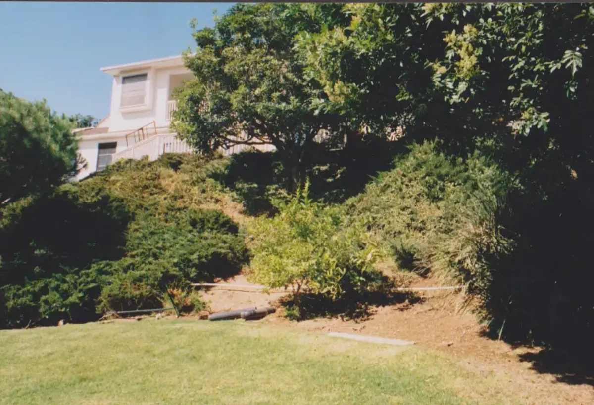 A large yard with trees and grass in the foreground.