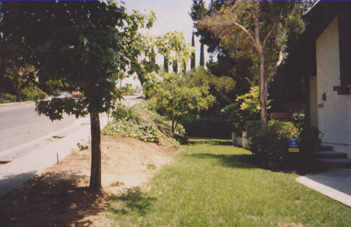 A view of a garden with trees and grass.