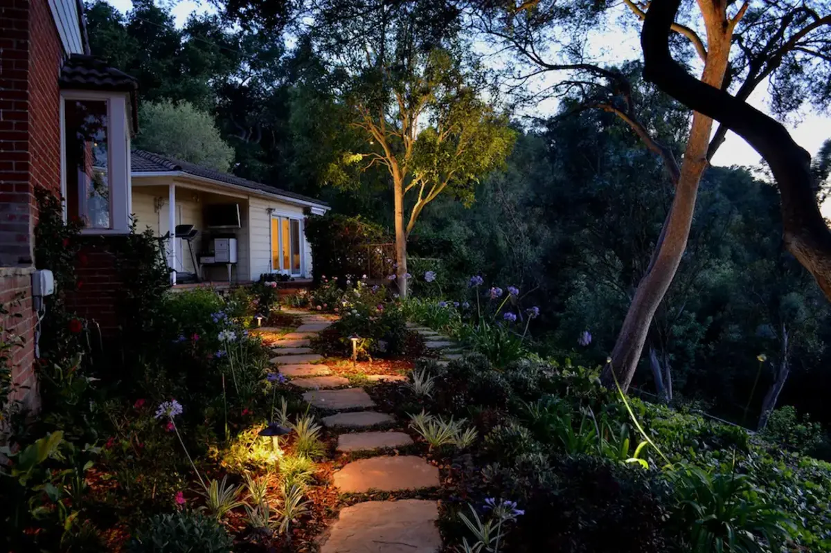 A garden with lights and plants in the yard